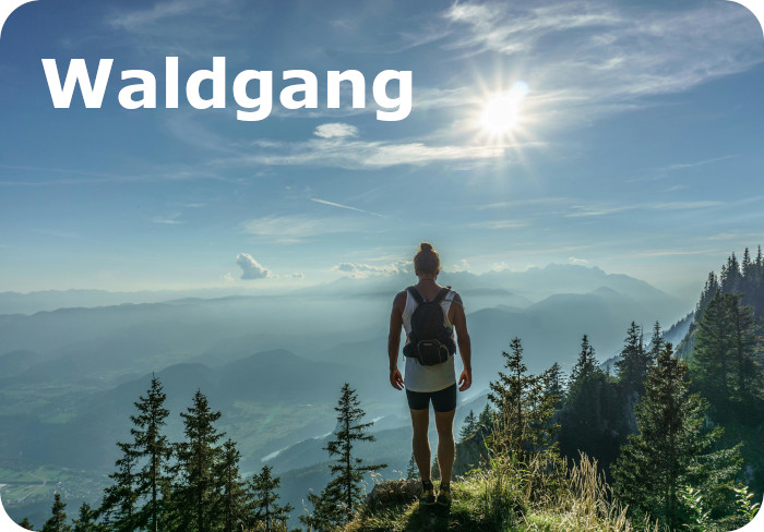 Waldgang Web 1